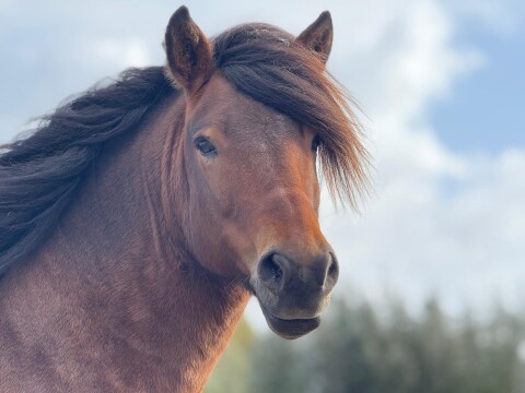 Afbeelding van WhatsApp op 2025 10 30 om 15.22.51 15a834e6