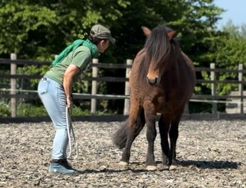 Afbeelding van WhatsApp op 2025 10 30 om 15.22.51 d18602b5