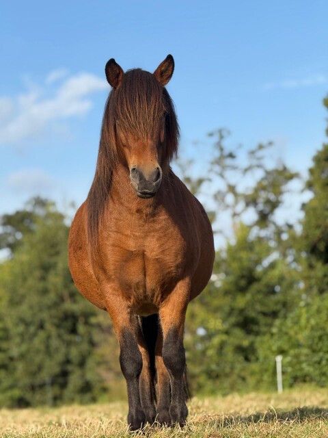 IMG 20250911 WA0087 ves 1